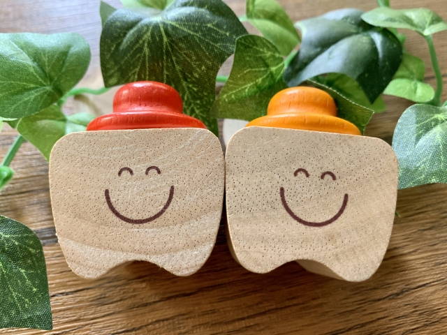 笑顔を表現した歯の模型